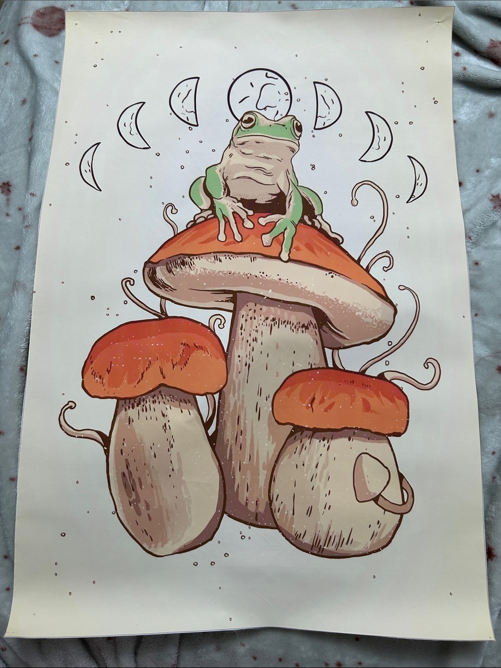 Green Frog on Orange Mushroom Poster - Unbranded